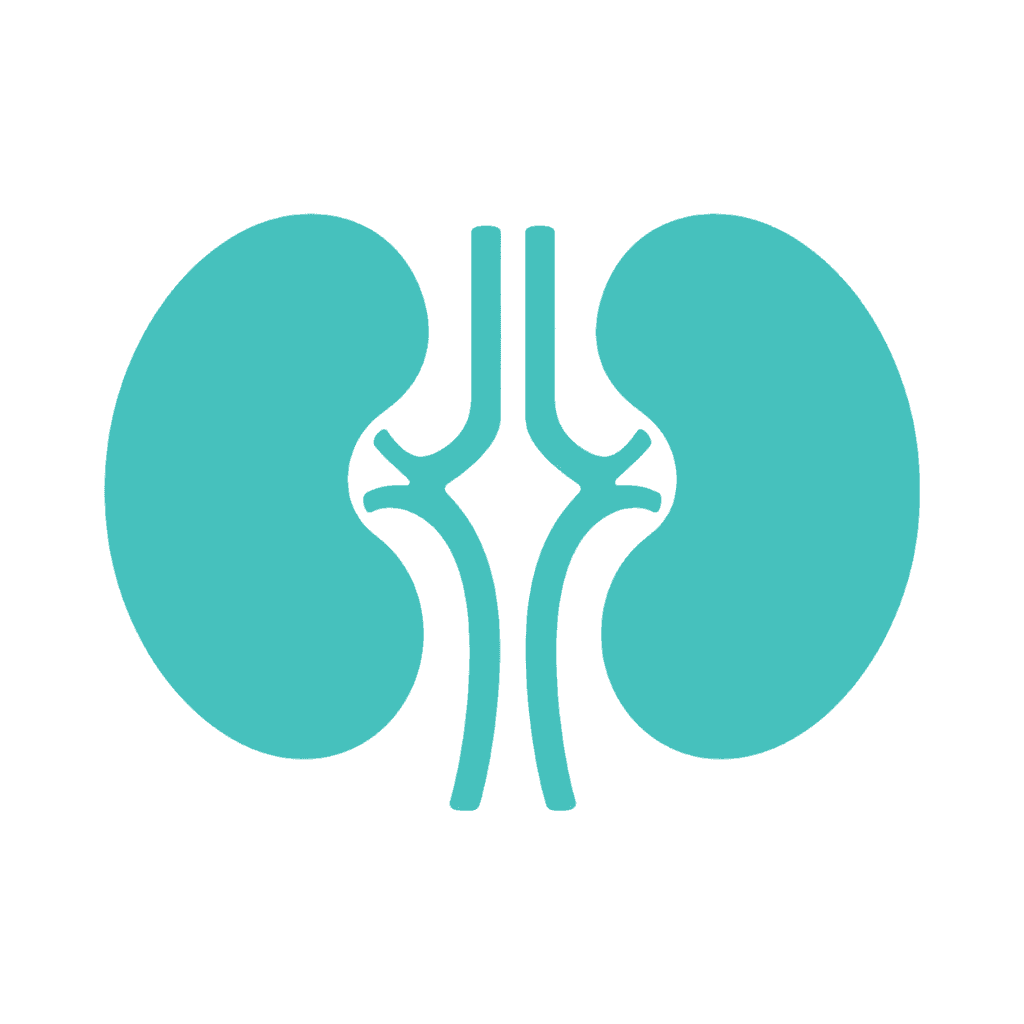 NephroLife logo